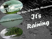 The lure of Kerala Monsoon - It's Raining 