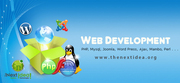Web development services USA