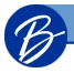 Name of the Company : Boscov's