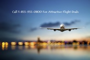 Attractive Flight Deals for Local and International Tours